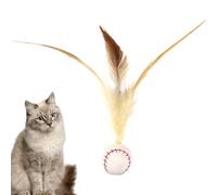 Cat Ball Toy | Ball Toys for Kittens, Interactive Chew Game for Exercise - Exercise Chew Training Sport Anti-Boredom