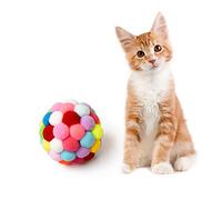 Cat Ball Toys Cat Plush Toys with Bell Colorful Cute Interactive Ball Toy for Cats and Dogs Training Playing Chewing