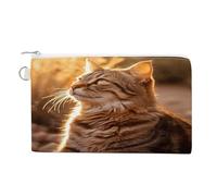 Cat Basking in The Sun Coin Purse Mini Pouch Change Wallet with Keychain Portable Change Wallet Canvas Coin Bag