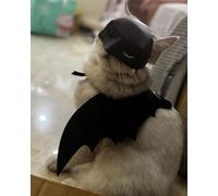 Cat Bat Mask and Pet Cat Wings for Halloween Costumes, Dog Bat Cosplay Apparel, Pet Dress Up Accessories (Mask and Wings)