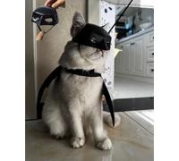 Cat Bat Mask and Pet Cat Wings with Leash for Halloween Costumes, Dog Bat Cosplay Apparel, Pet Dress Up Accessories (Mask+Wings+Leash)