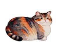 Cat Bathroom Rug | Washable Quick Drying Carpet | Cat Fun Bathroom Rugs Floor Mats,for Indoor Home Front Door Entryway Shower Kitchen Bedroom Living Room Hallway Apartment