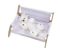 Cat Beach Chair Striped Elevated Lounge Chair