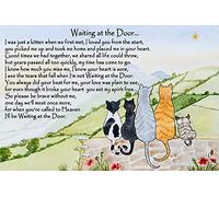 Cat Bereavement Memorial Fridge Magnet Plaque Sympathy Gift - Waiting at The Door