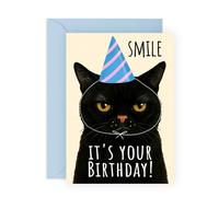 Cat Birthday Card - Grumpy Black Cat in Party Hat - Hilarious Animal Birthday Card for Him, Her, Friends, Siblings, Brother, Sister, Pet Owners, Fur Mum Dad, Cat Lovers - Comes with Stickers