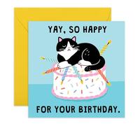Cat Birthday Card - “Yay, So Happy” - Grumpy Cat Sitting on Cake - Hilarious Card for Friends, Fur Mum Dad, Brother, Sister, Bestie, BFF, Neighbour, Pet Lovers, Him, Her - Comes with Fun Stickers