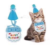 Cat Birthday Hat & Bib Set - Cute Cat Party Hat with Matching Bib, Cake Topper & Decorations - Perfect for Birthday Celebrations & Kitten Party Supplies (Blue)