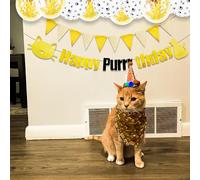 Cat Birthday Party Decoration Happy Purrthday Sign Pet Cat Birthday Party Decorations Lets Pawty Balloons Cat Themed Birthday Decorations Cat Balloons