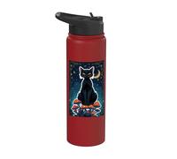 Cat Black Shadow Mystical Magic Feline Witch Soul Power Core Stainless Steel Insulated Water Bottle