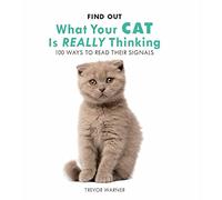 Cat Body Language: 100 Ways to Read Their Signals