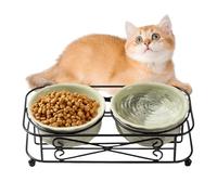 Cat Bowls, Water Dispenser Bowl with Stand, Ceramic Feeding Bowl, Pet Accessories for Feeding Kittens, for Outdoor Activities and