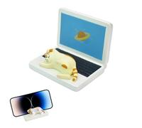 Cat Bread Phone Holder - for Resin Tabletop Phones, Cartoon Animal Designs, Cute Cell Phone Holders | Funny Smartphone Holders for Girls