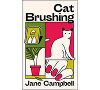 Cat Brushing: a dazzling short story collection about thirteen older women