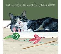 Cat Busy Takes Effort Little Dog Laughed Greeting Card Blank Inside Any Occasion SQD155