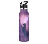 Cat Butterfly Galaxy Stars Water Bottle Stainless Steel Drink Flask with Straw Cap Insulated Bottle for Boys Girls Sports 20 oz (600 ml)