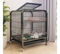 Cat Cage with Locking Doors and Wheels, 2-Tier Heavy Duty Metal Pet Enclosure, Portable Indoor Playpen for Cats and Small Animals, Spacious Activity Area