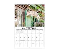 Cat Calendar 2026 | 13-Month Planning Tool - Monthly Calendar,for Students Teachers Consultants Freelancers Home School Bedroom Study Classroom Office Workshop Studio Dormitory