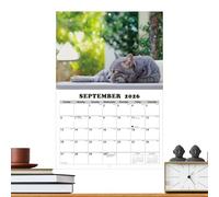 Cat Calendar 2026 - Monthly Planning Tool for Home, Multi Functional with Large Writing Spaces, Wall Calendar for Studio, Offices, School, Bedroom, Dorm 16.54x11.22 Inches
