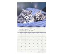 Cat Calendar 2027 Jan - Dec 2027 Spiral Binding Kitten Calendar