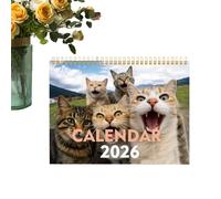 Cat Calendar for the Desk, Cute and Adorable, 2026 Monthly Desk Calendar, for Study, Organisation, Table, Workplace, School, Planning, Home, Family and Friends
