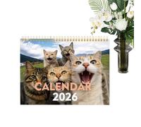 Cat Calendar for the Desk, Cute and Adorable, 2026 Monthly Desk Calendar, for Workplace Planning, School, Family, Table, Learning, Organisation, Home and Friends