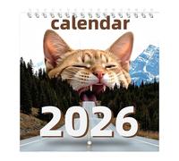 Cat Calendar January To December - Kitten Wall Calendar For 2026 | Cute Cat Artwork With Monthly Planner & Illustrated Feline Designs For Scheduling Friends Meetups Desk Home Office School Decor