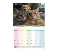 Cat Calendar, Wall Calendar with Funny Cats 2026, Thick Paper Year Planner from January to December, 2026 Monthly Desk Calendar, School Family Organisation The Workplace
