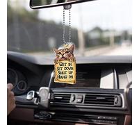 Cat Car Hanging Ornament Rear View Mirror Pendant,Get in Sit Down Shut Up Hang On Automotive Interior Mirrors Pendant,Car Charm Ornament, Window Wall Hangings Home Decor