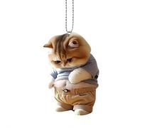 Cat Car Hanging Ornaments, Chubby Cat Fat Cat Acrylic Car Rearview Mirror Hanging Pendants with Lanyard Car Interior Charm Accessories Present for Men Women