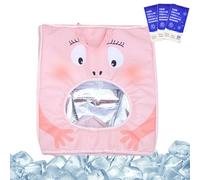 Cat Carrier Bag, Cat Travel Bag with Integrated Ice Pack - Cooling Insulated Ventilated and Foldable House for Car, Hiking, Biking, Airplane, Outdoor