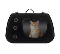 Cat Carrier Bag - Transparent Pet Carrier with Wide Handle | Travel Safety Bag for Small Dogs Cats | Portable Shoulder Carrier for Walking Around the Road