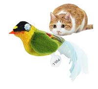 Cat Catch Toys with Sound Production - Interactive Toy with Feathers Birds Squeak Sound Toys for Kittens - Twitter Cat Squeaking Toy
