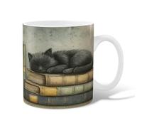 Cat Ceramic Coffee Mug, Cozy Fanciful Books Sleeping Fall Gray Novelty Hot Chocolate Mug with Handle Gift for Friends Family Co-Worker Lovers Eldership Senior 11 Oz
