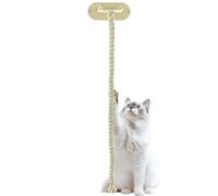 Cat Climbing Post Rope Window Suction Scratcher Toy