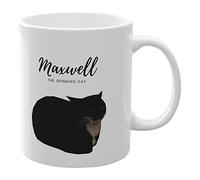 Cat Coffee Mugs,11.8 Oz. Maxwell The Cat Meme Coffee Cup | Novelty Morning Pottery Milk Latte Mugs and Painted Pattern Unique for Women