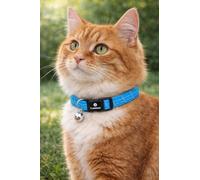 cat collar - Elza blue 20-34 cm - elastic nylon reflective with bell