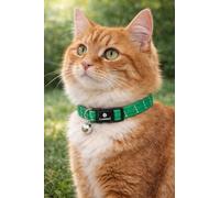 cat collar - Elza green 20-34 cm - elastic nylon reflective with bell