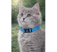 cat collar - kitten Elza blue 15-22 cm - elastic nylon reflective with bell