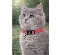cat collar - kitten Elza coral red 15-22 cm - elastic nylon reflective with bell