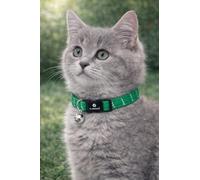 cat collar - kitten Elza green 15-22 cm - elastic nylon reflective with bell