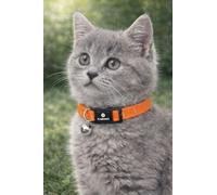 cat collar - kitten Elza orange 15-22 cm - elastic nylon reflective with bell