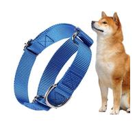 Cat Collar Small | Adjustable Puppy Accessories | Kitten Walking Collars | for Pet Parents Harbour Night Walks Veterinary Visits Travels Garden Park Lawn and Lawn