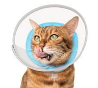Cat Cone Collar Soft: Comfortable Waterproof Mesh Recovery Cone After Surgery to Stop Licking and Scratch, Alternative to Plastic Elizabeth Head/Neck Cone