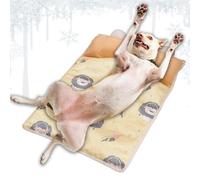 Cat Cooling Mat,Cool Pet Pad - Sleeping Ice Mat with Pillow for Post-Exercise Recovery Hot Weather Car Outdoor Cage Indoor Kennel Sofa Bedroom