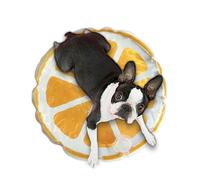 Cat Cooling Mat | Kitten Water Sensory Pad,Cute Fruit Pattern Cooler Cushion Pad Bed Sleeping Mattress for Dogs and Cats
