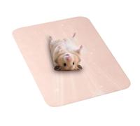 Cat Cooling Mat | Reusable Aluminum Portable | Indoor Chinchilla Cooling Bed - for Hamster Bunny Chinchilla Hedgehog Squirrel Summer Home Outdoor
