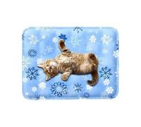 Cat Cooling Mat Water-Filled Waterproof Comfortable Scratch-Resistant