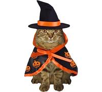 Cat Costume | Kitten Cosplay Costumes | Dog Clothes for Halloween, Pumpkin and Bat Pattern for Pets, Suitable for Cat, Dog, Rabbit