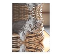 Cat Crystal Sticker, 3D Stereoscopic Effect, Pattern Does Not Fall Off When Exposed to Water
