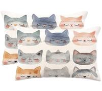 Cat Cushions 40x60 cm Abstract Cushion Covers,Large Sofa Decorative Pillows 16 x 24 Inch,Set of 2 Linen Breathable Throw Pillow Cover Double-Sided Pillowcases for Home Farmhouse Decor Living Room m616